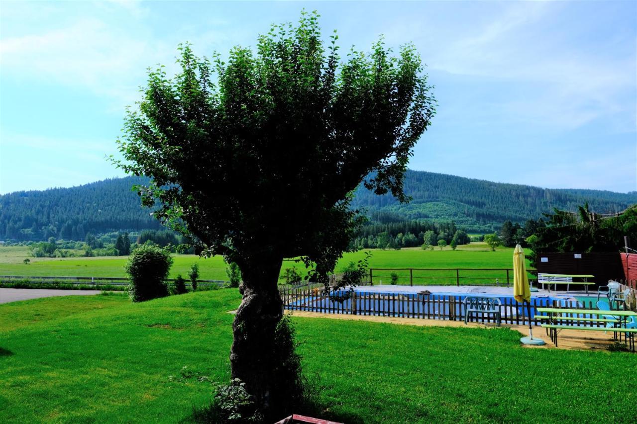 B Und B Titisee Hotel Sonnenmatte Nahe Badeparadies Екстер'єр фото